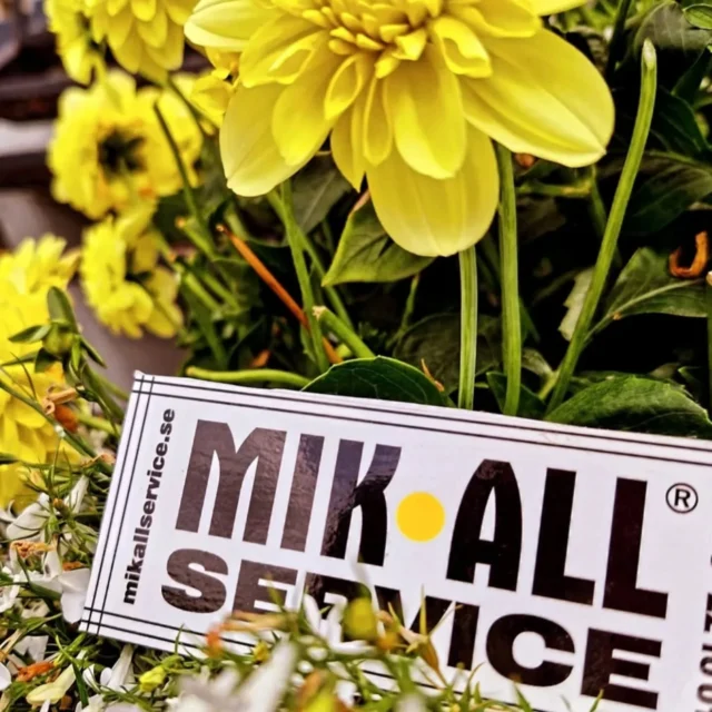Visst vet Du... 🌼

...att MIK ALL Service är bemannad hela sommaren lång? 

Behöver Du vår hjälp? Ring då oss på 020 - 22 22 24 eller skicka oss ett mail till info@mikall.se och berätta hur vi kan hjälpa Dig.

#mikallservice #lokalvård #hemstäd #trädgårdsskötsel #flytthjälp 
#högakusten #örnsköldsvik #härnösand #kramfors #solleftå